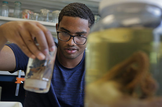 an African-American male student holds up a glass jar containing a squid