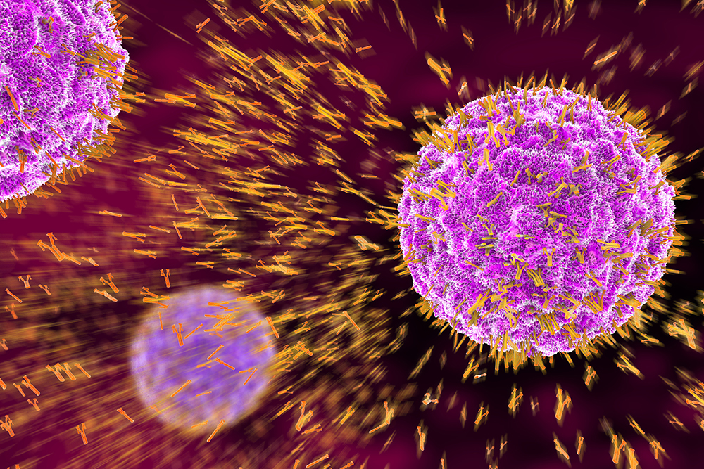 a graphic of yellow antibodies attacking a purple virus