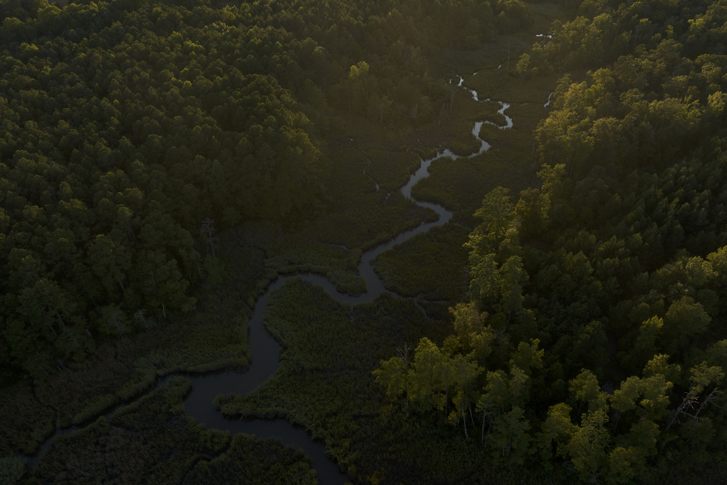an aerial view of the Chowan River