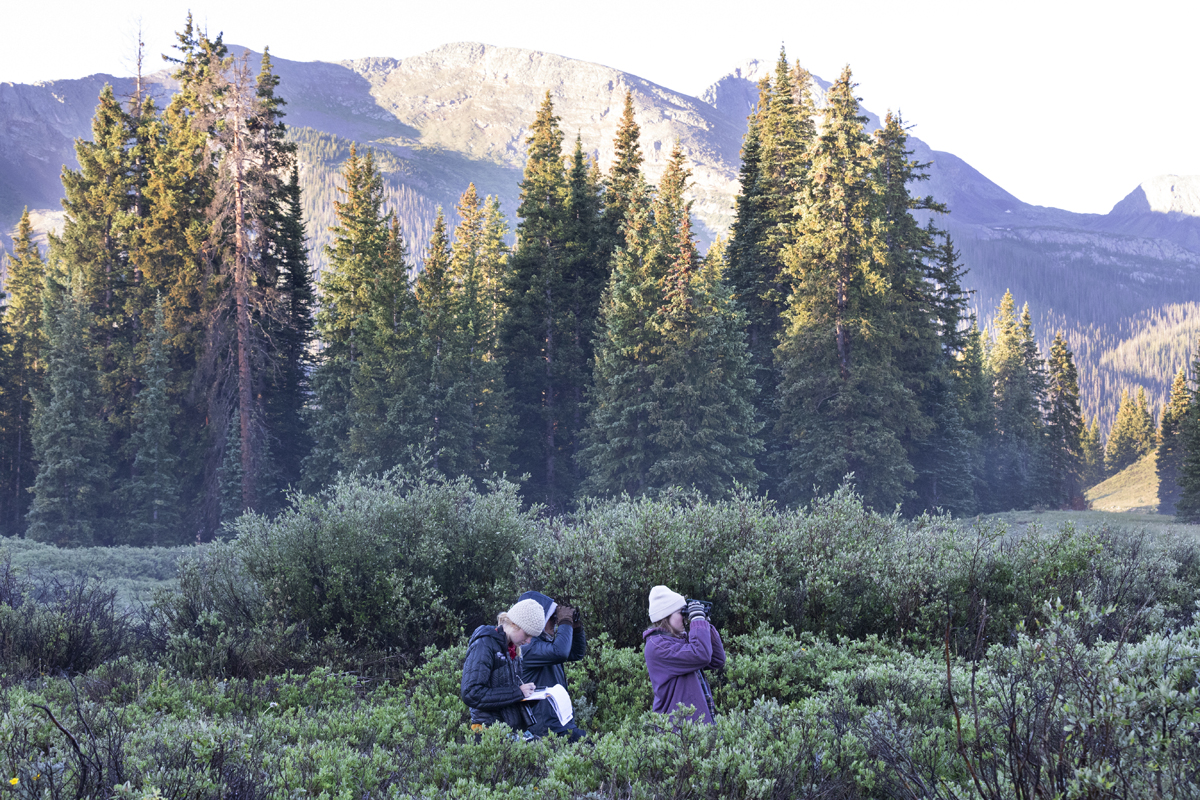 Emma Reinhardt, Nico Frasson, and Torin O'Brien look for birds