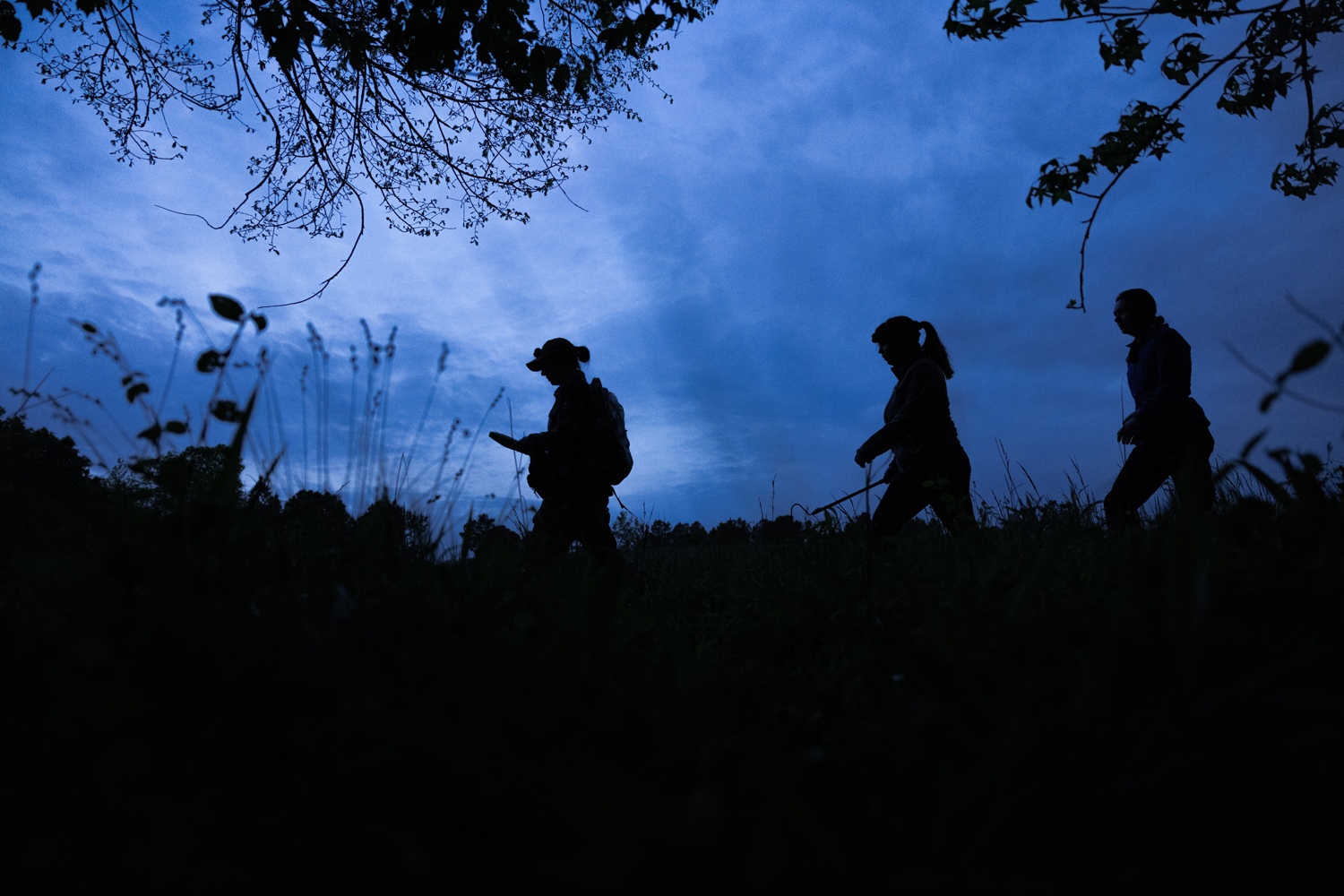 the silhouette of three researchers headed into the woods