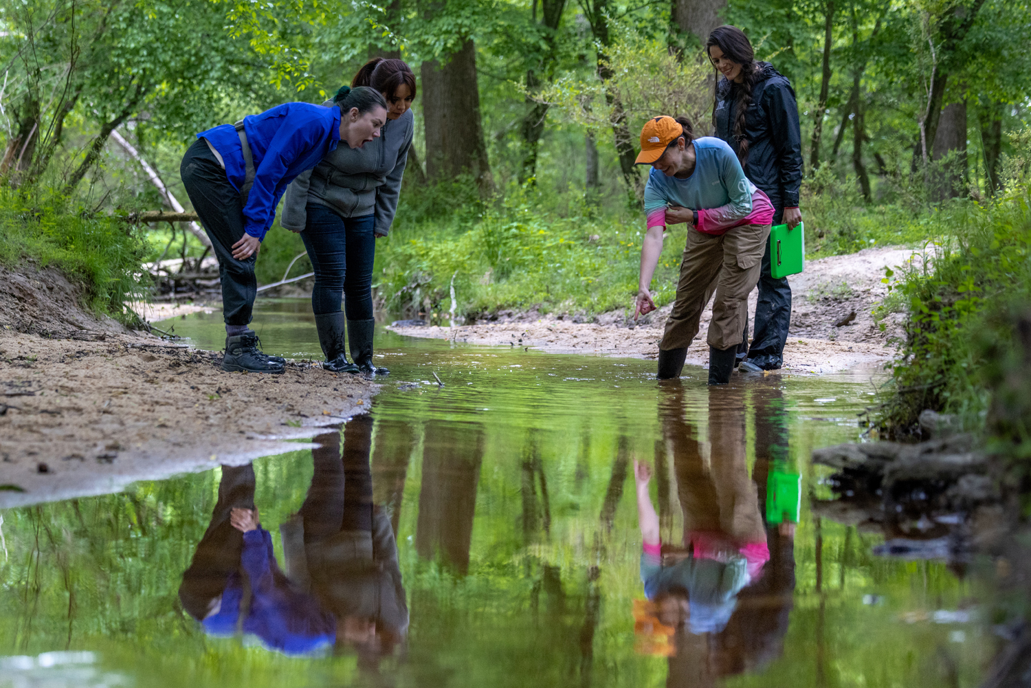 the researchers look at a mussel in the creek