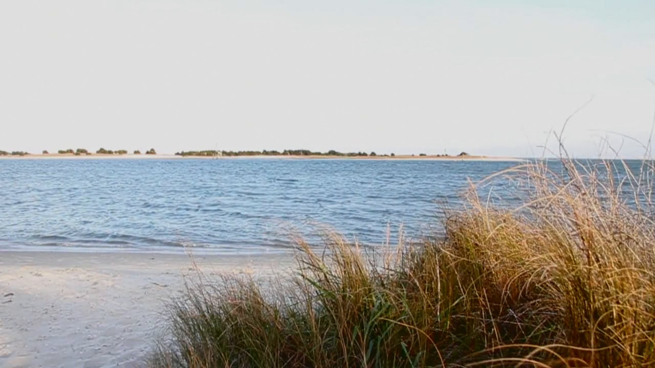Screen grab overlooking the ocean/coast from the beach. Click to start video.