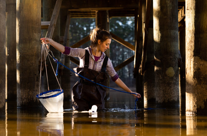 Emily Harmon holds a net under a dock at Jordan Lake