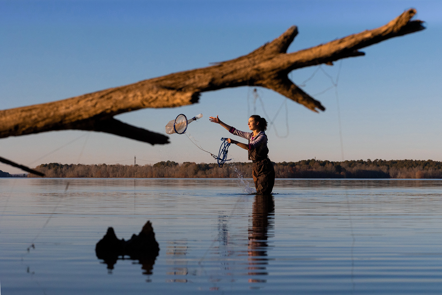 Emily Harmon throws a net over Jordan Lake