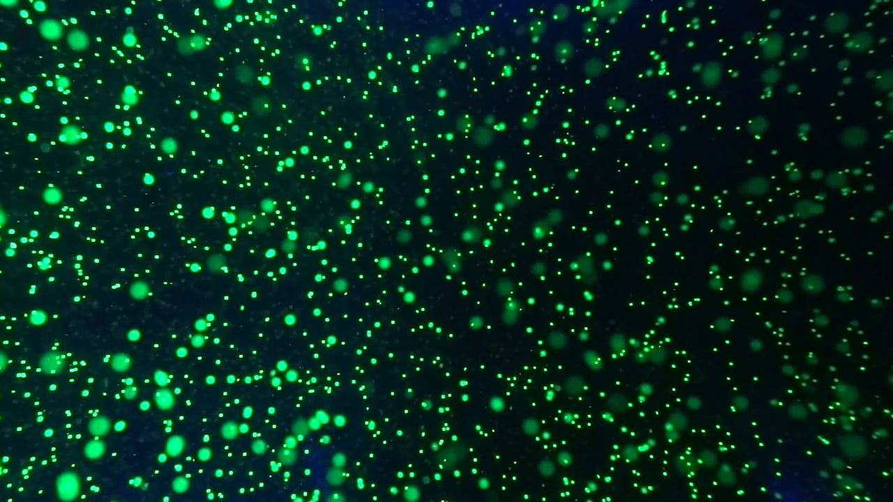Close-up of the granular wall, green dots on a dark background