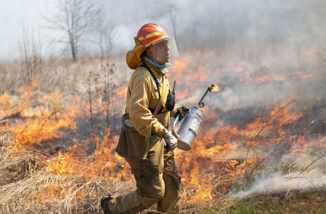 Johnny Randall lights fires during a controlled burn at the Mason Farm Biological Reserve.