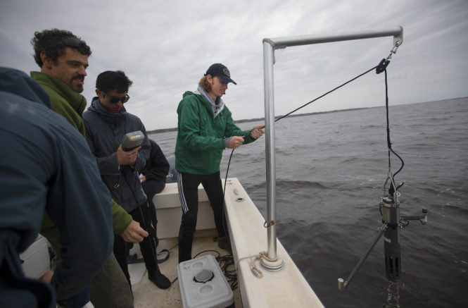 A student stands next to the edge of the boat and uses a pulley system to raise a metal instrument from the estuary water.