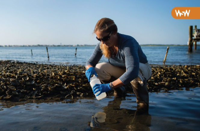 Rachel Noble collects water samples along the beach in Morehead City