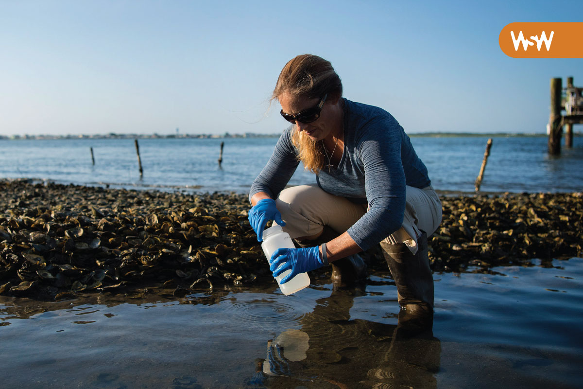 Rachel Noble collects water samples along the beach in Morehead City