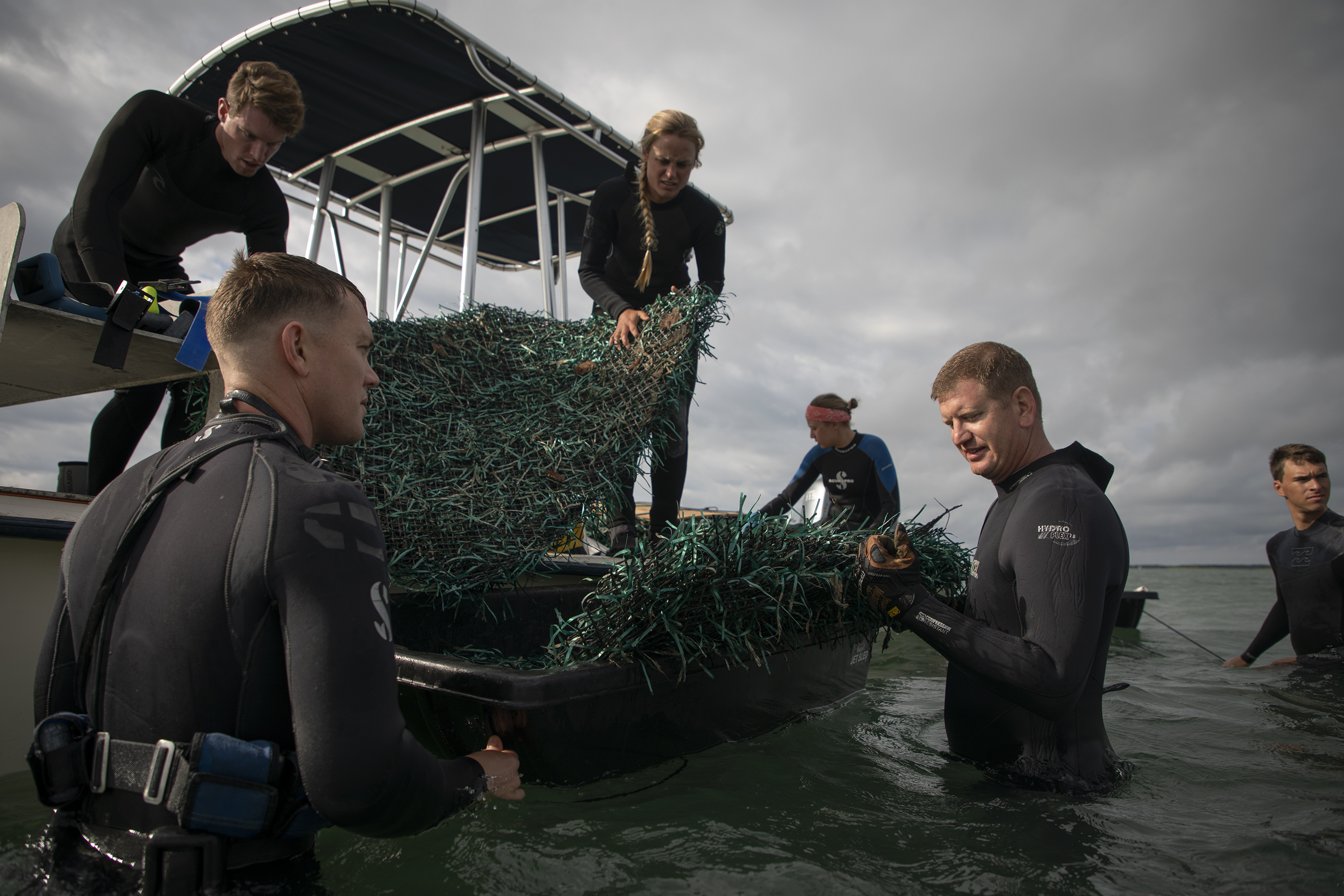 Seagrasses, Nature's Water Filter - The Ocean Foundation