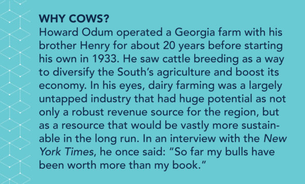 Why cows? Howard Odum operated a Georgia farm with his brother Henry for about 20 years before starting his own in 1933. He saw cattle breeding as a way to diversify the South’s agriculture and boost its economy. In his eyes, dairy farming was a largely untapped industry that had huge potential as not only a robust revenue source for the region, but also as a resource that would be vastly more sustainable in the long run. In an interview with the New York Times, he once said: “So far my bulls have been worth more than my book.”