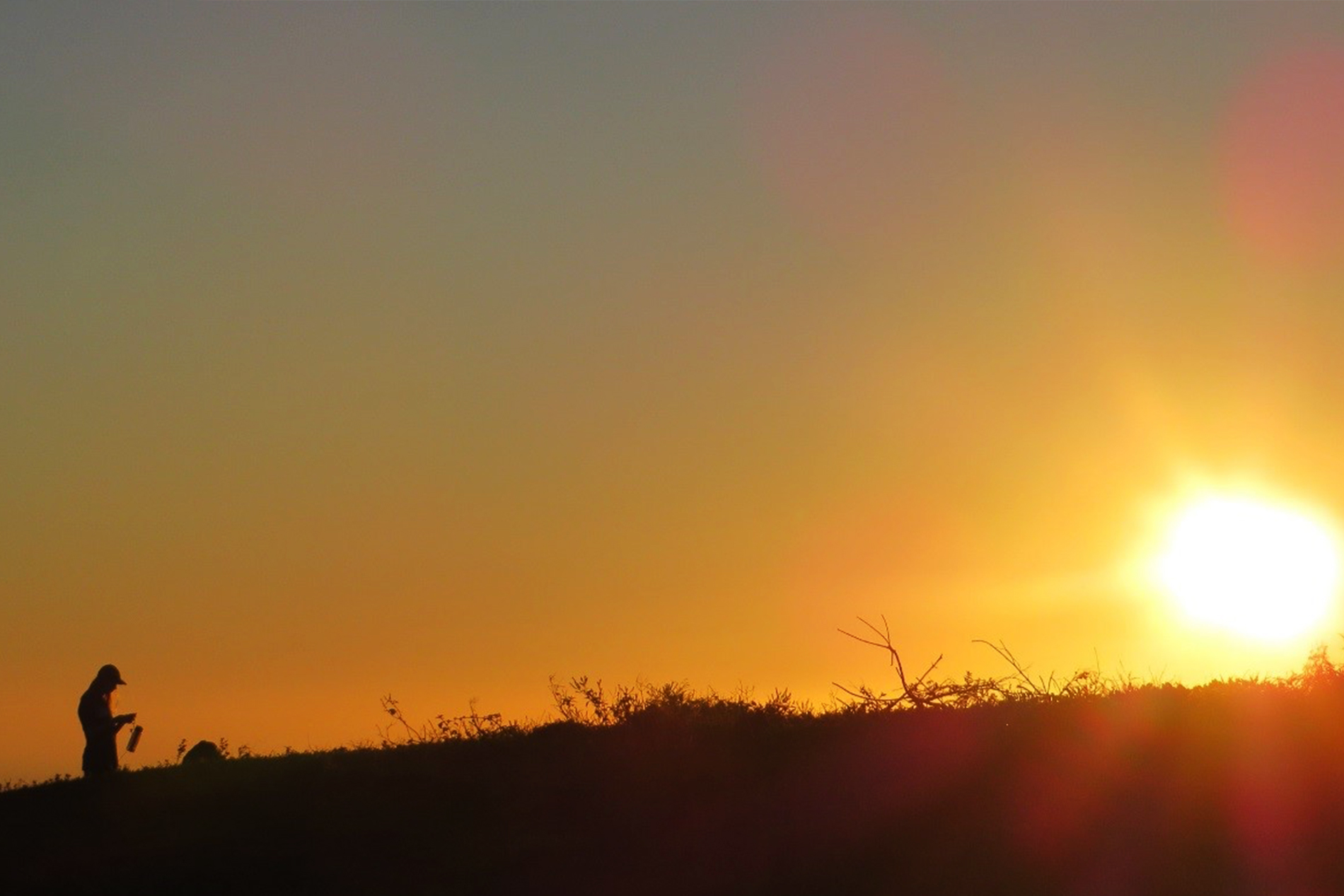 the figure of Haley Moser can be seen as she collects data while the sun sets in the Galapagos