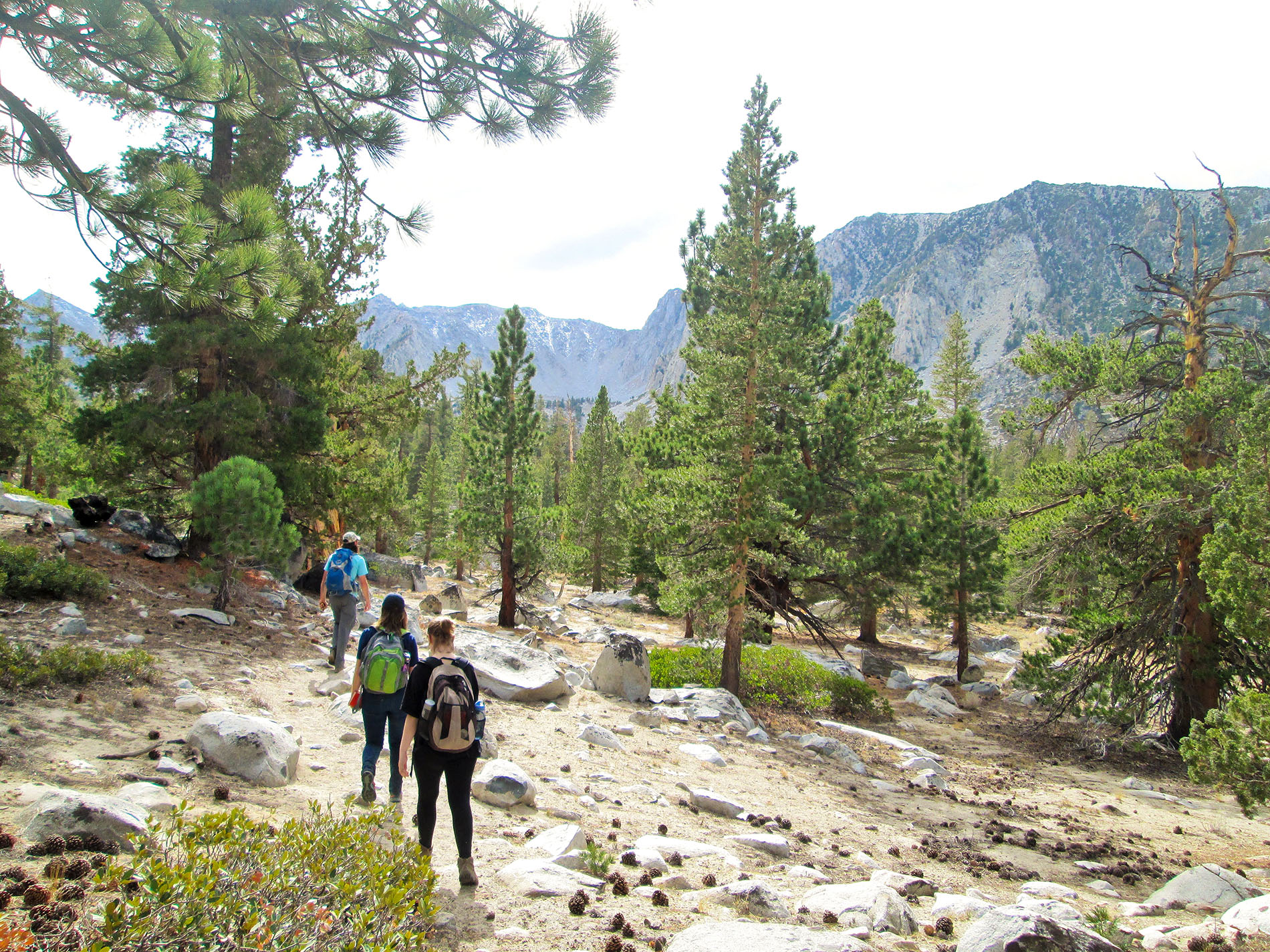 a group of female hikers hike in the Sierra Nevadas