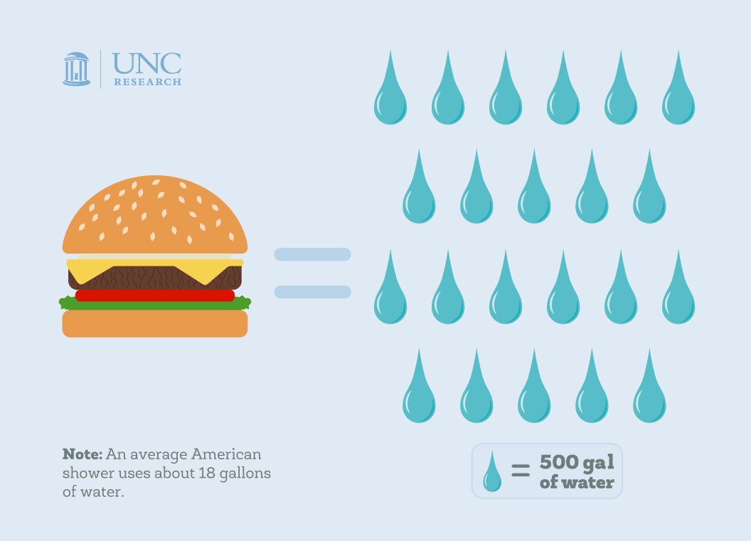 Illustration infographic. Burger equals 22 water droplets. One water droplet equals 500 gallons of water. Note: An average American show uses about 18 gallons of water.