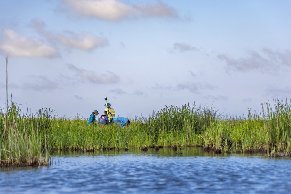 Four people in a marsh