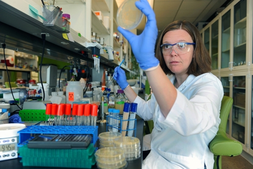 Photo of Elizabeth Shank in the lab, examining a petri dish.