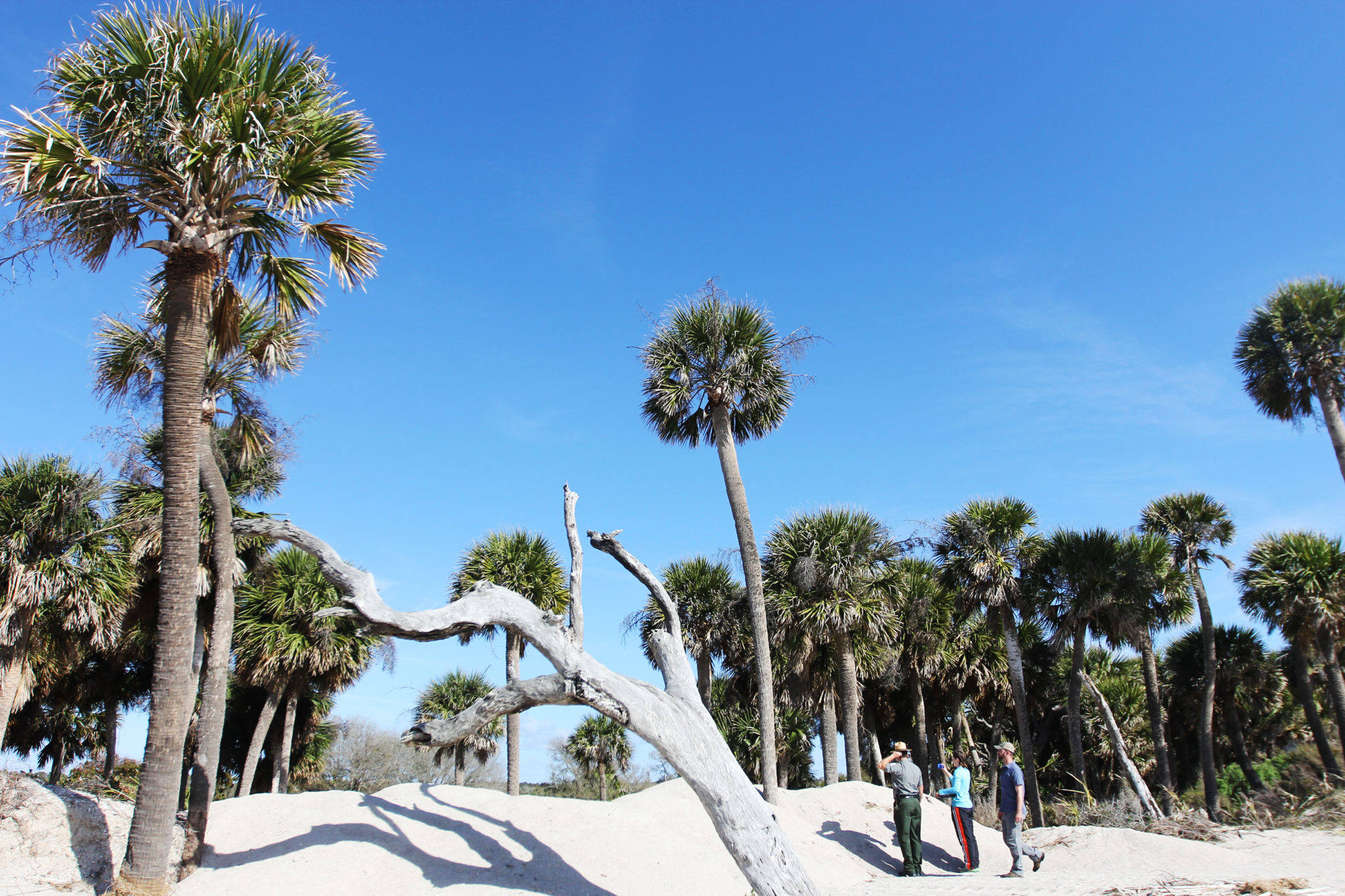 Elsemarie deVries and Joe Lemeris chat with Jon Greider, Edisto Beach State Park manager, about their research