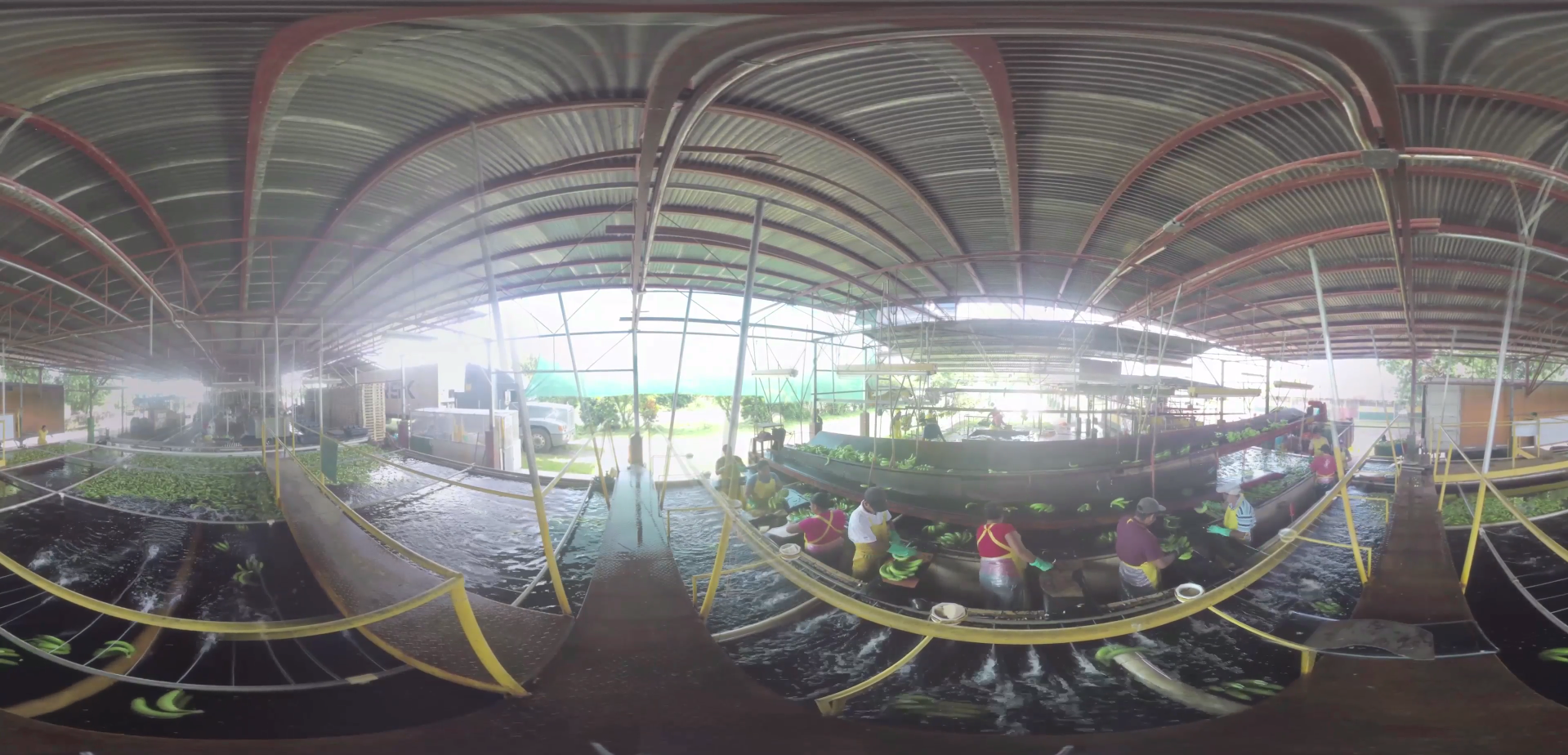 a panoramic image of banana plantation warehouse in Panema