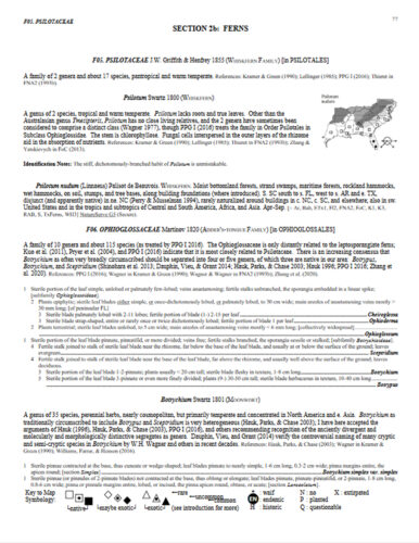 a screenshot of the ferns page in "Flora of the Southeastern United States"