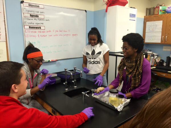 Ashburn (right) discusses the neuroanatomy of a sheep’s brain with a middle-school class.