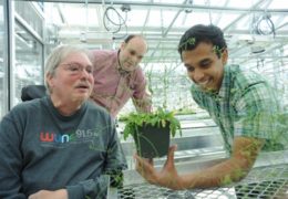 Photo courtesy of UNC News Services Jeff Dangl, a plant biologist; Vladmir Jojic, a computer scientist; and Surge Biswas, a statistics major, collaborate on plant genomics research.