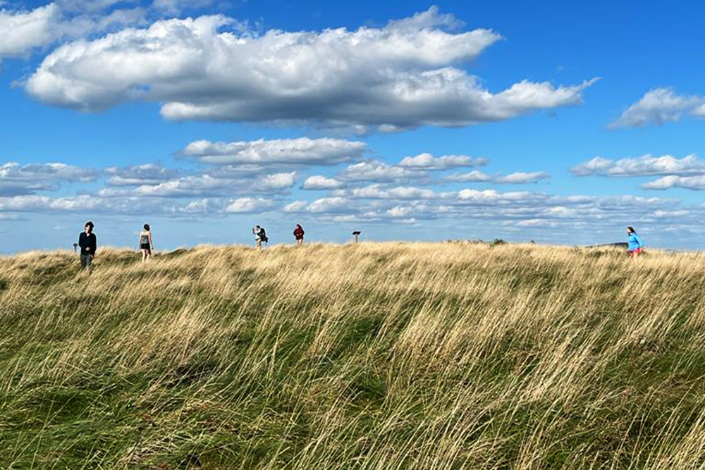 people walk across a meadow