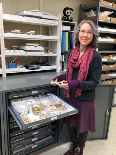 Heather holds an artifact and displays a drawer of artifacts in a lab setting.