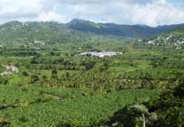 Roseau Valley in Saint Lucia