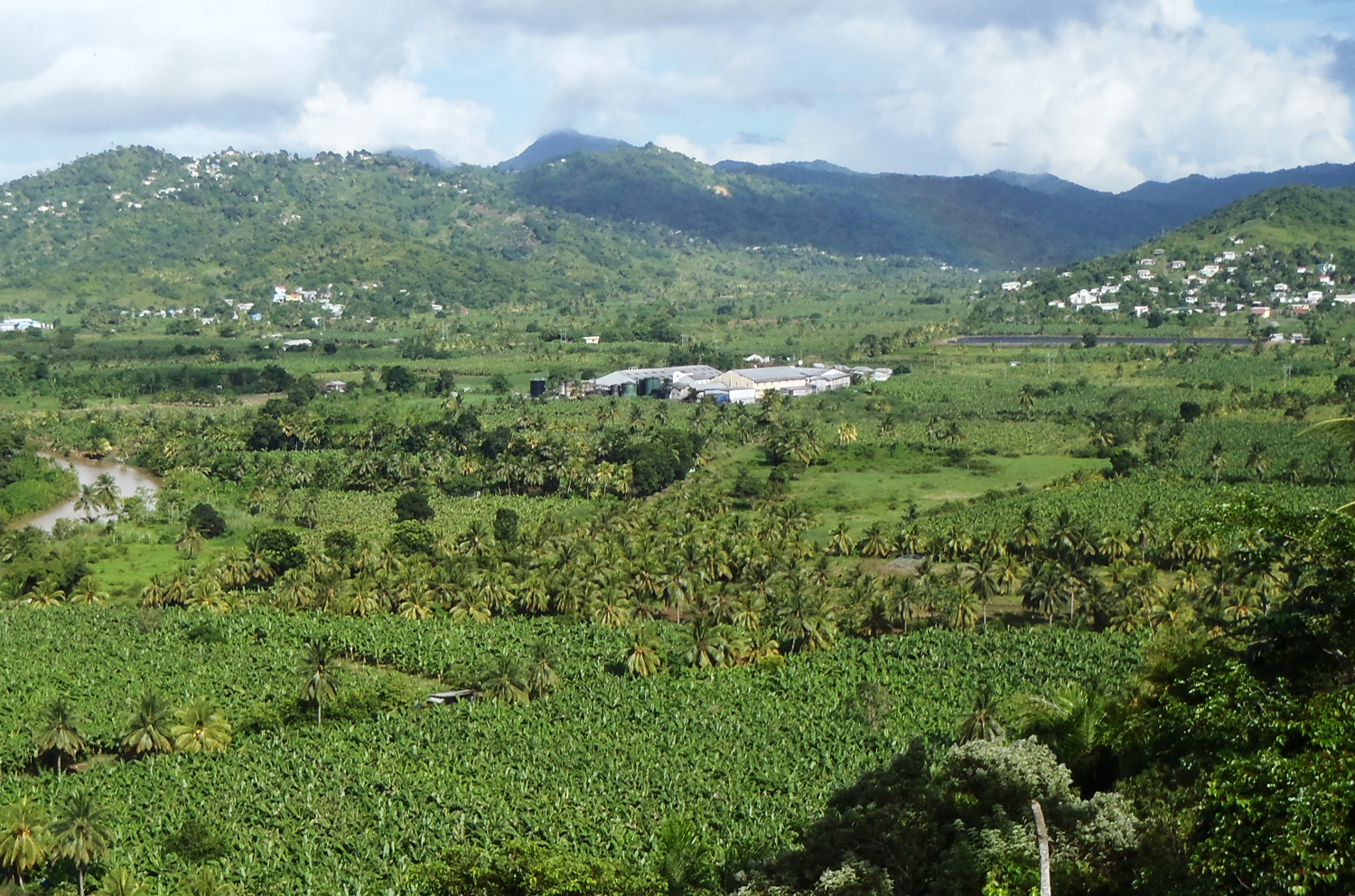 Roseau Valley in Saint Lucia