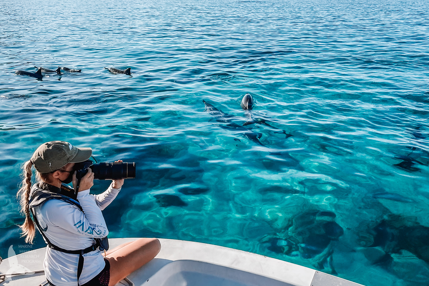 Liah McPherson photographs dolphins