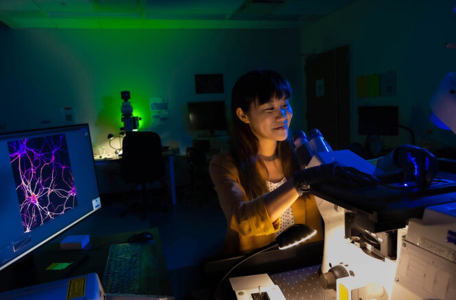 Michelle Itano looks at microscope slides in the UNC Neuroscience Microscopy Core
