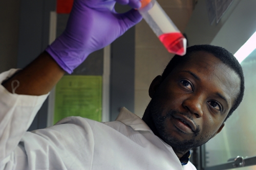 Photo of Moses Bility in the lab looking at a test tube.