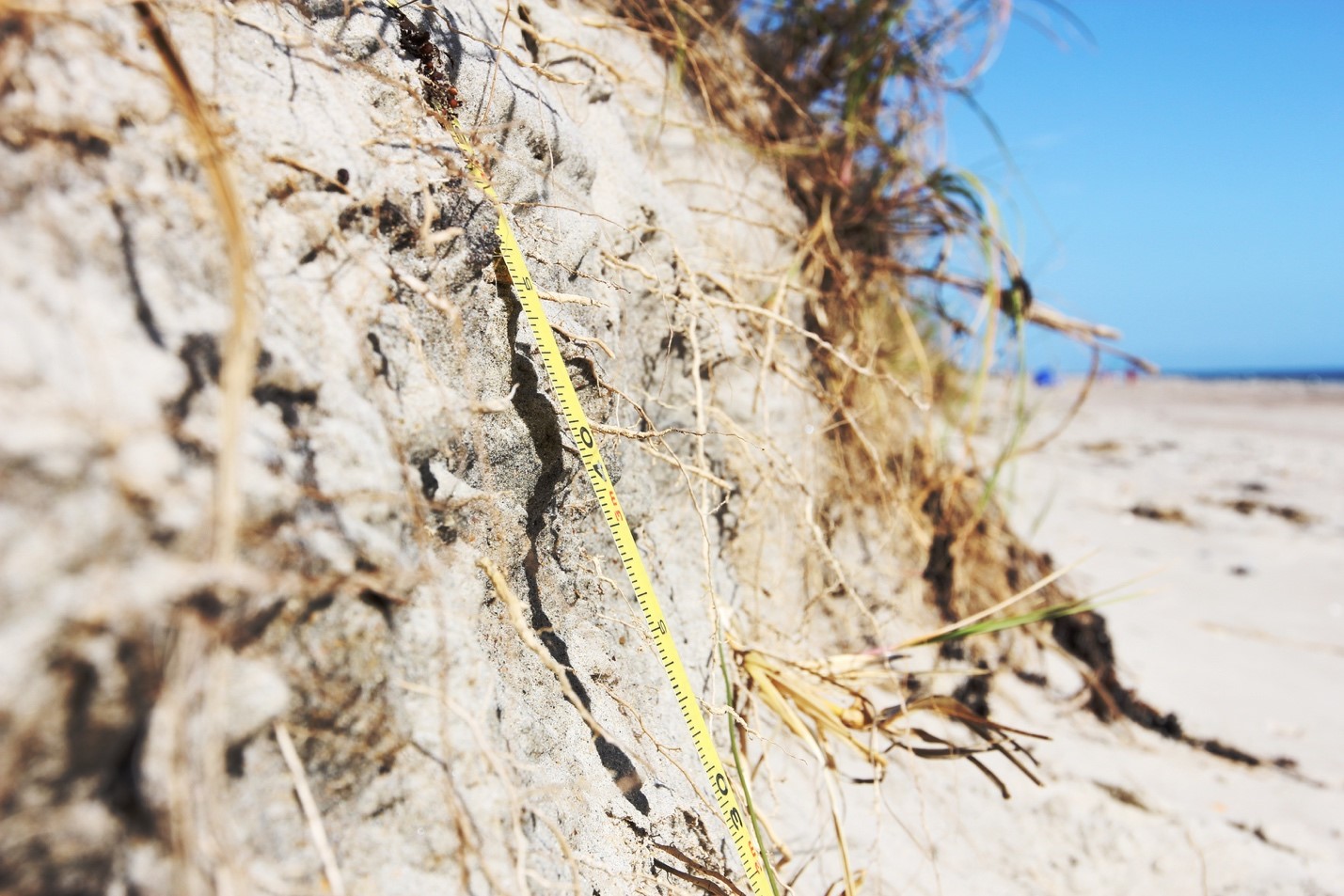 measuring tape along a sand dune near the Atlantic Ocean
