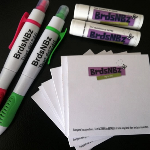 Photo of BrdzNBz promotional items, two pens, two tubes of chapstick, and sticky notes, all with the Birds and Bees slogan.