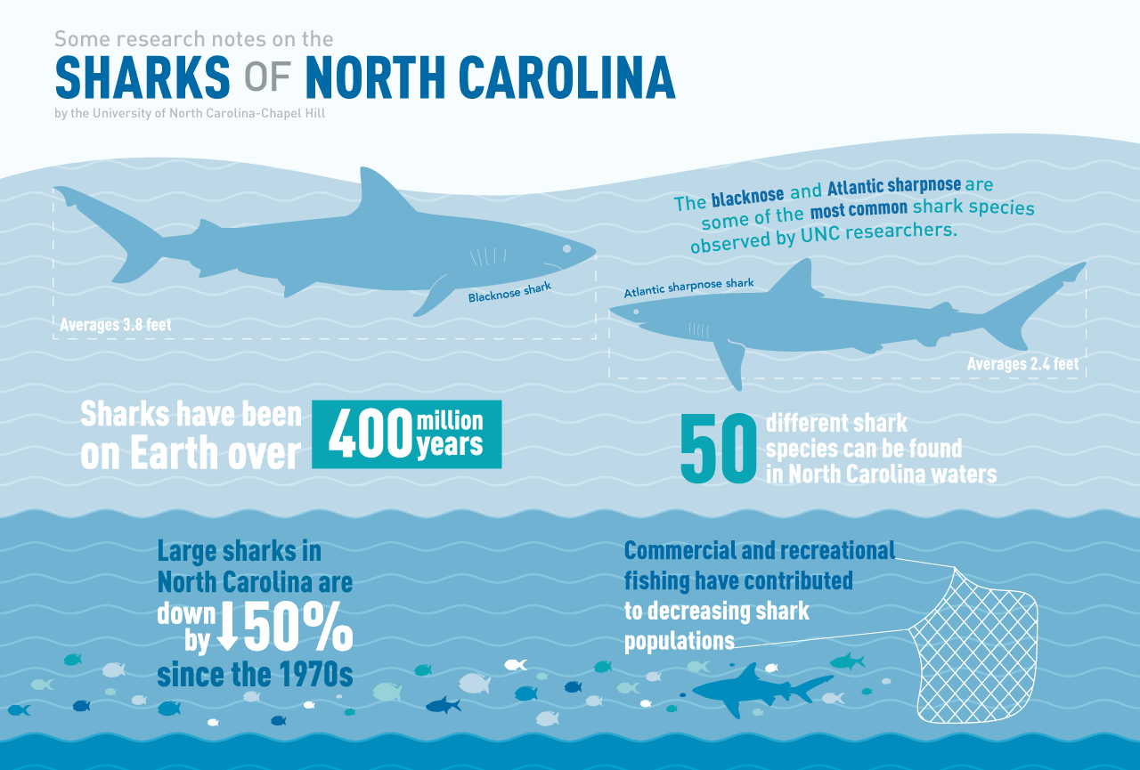 Sharks of North Carolina Endeavors