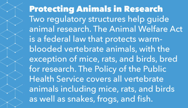 Protecting Animals in Research Two regulatory structures help guide animal research. The Animal Welfare Act is a federal law that protects warm-blooded vertebrate animals, with the exception of mice, rats, and birds, bred for research. The Policy of the Public Health Service covers all vertebrate animals including mice, rats, and birds as well as snakes, frogs, and fish.