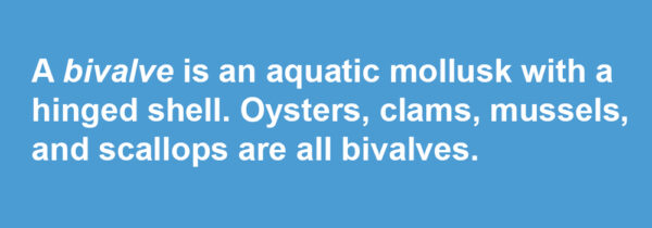 A bivalve is an aquatic mollusk with a hinged shell. Oysters, clams, mussels, and scallops are all bivalves.